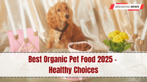 Best Organic Pet Food 2025 – Healthy Choices