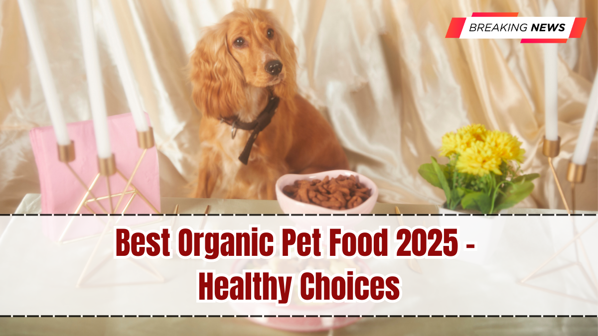 Best Organic Pet Food 2025 – Healthy Choices