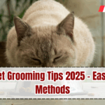 Home Pet Grooming Tips 2025 – Easy & Safe Methods